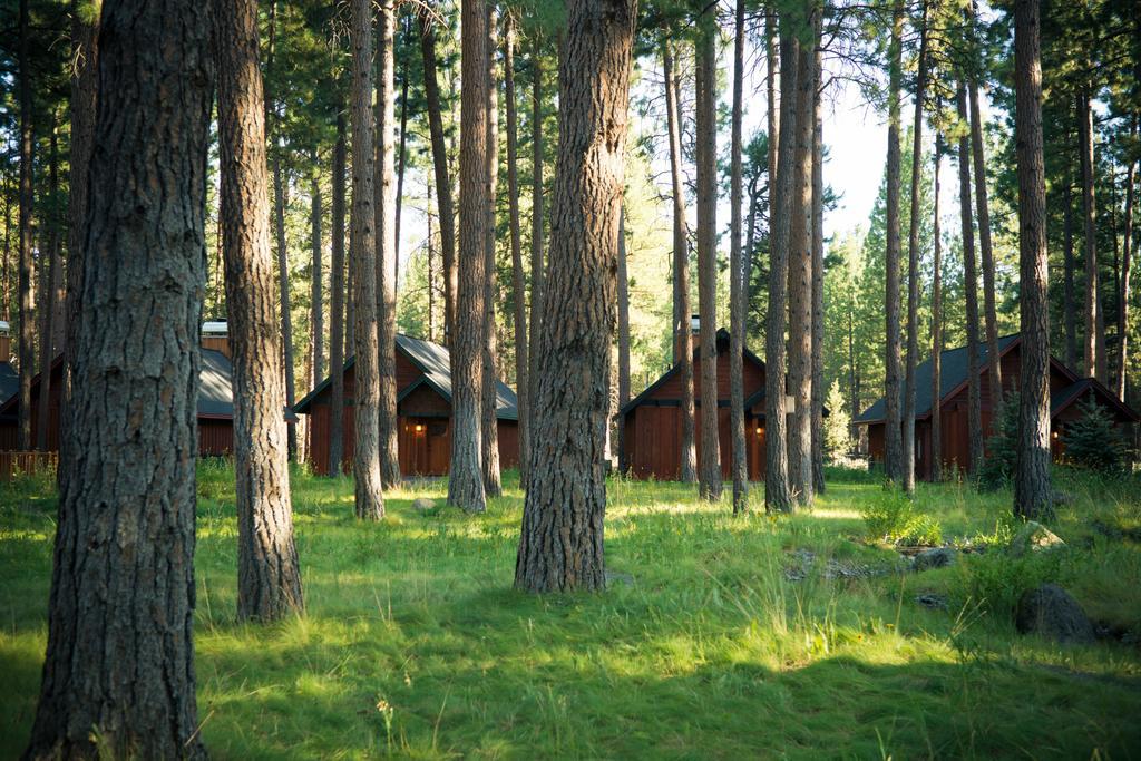 Fivepine Lodge Систърс Екстериор снимка